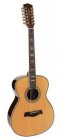 Richwood Richwood A-7012-VA Master Series handmade Auditorium 12-snarige gitaar