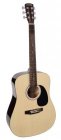Nashville GSD-60 akoestische gitaar