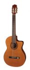 Salvador Cortez Salvador Cortez CC-22CE Solid Top Artist Series Klassieke gitaar el ak