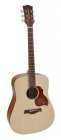 Richwood  D-220 All Solid Master Series custom shop dreadnought