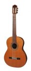Salvador Cortez CC-110 All Solid Master Series klassieke gitaar