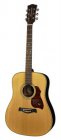 Richwood D-65-VA Master Series Ak gitaar
