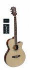 Richwood RG-16-CE el ak gitaar