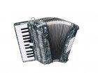 Serenelli Y-4826-G accordeon 48 bassen