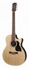 Richwood G-60-CE Master Series El Ak gitaar