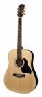 Richwood DS-60 Master Series Dreadnought Guitar