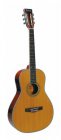 Richwood RV-70-NT Parlor gitaar