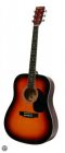 Phoenix 01 VS akoestische western gitaar