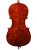 Leonardo Leonardo LC-2044 Basic Series cello outfit 4/4