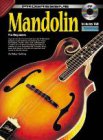 Mandolin for beginners
