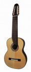 Salvador Cortez Salvador Cortez CS-60-10 10-snarige klassieke gitaar