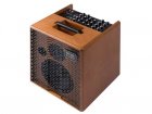 Acus ONE 6T Series Acoustic amp ONE for strings
