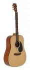 Nashville GSD-140-NT dreadnought guitar solid top