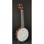 Richwood Master Series RMBU-404 ukulele banjo