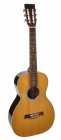 Richwood P-65-VA Master Series handmade parlor guitar