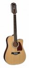Richwood RD-17-12CE 12 string ak gitaar